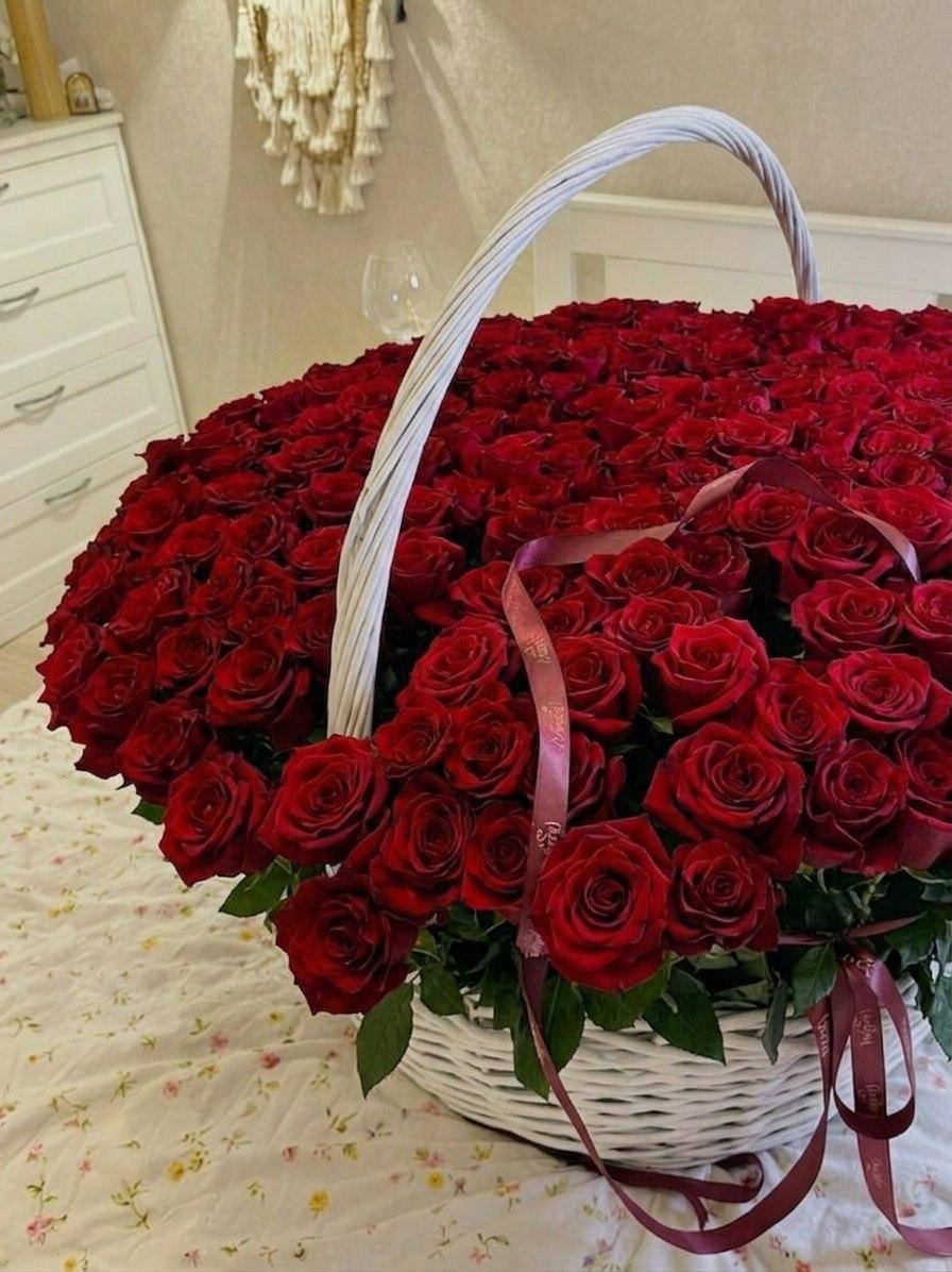 Алый триумф